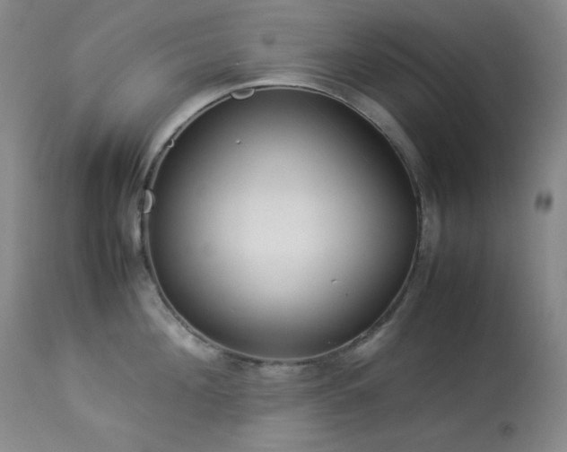X0000114010908200910021338