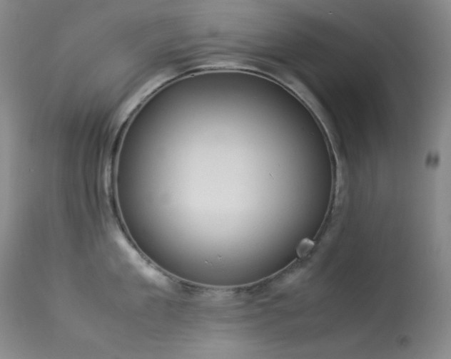 X0000114010909200910021338