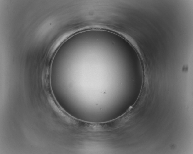 X0000114010911200910021338