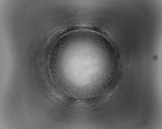 X0000114010913200910021338