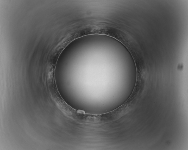 X0000114010914200910021338
