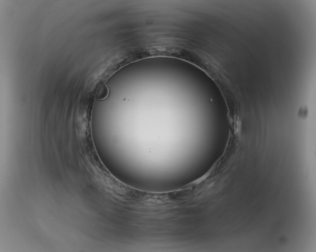 X0000114010915200910021338
