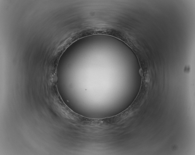 X0000114010916200910021338