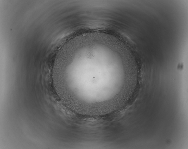 X0000114010917200910021338