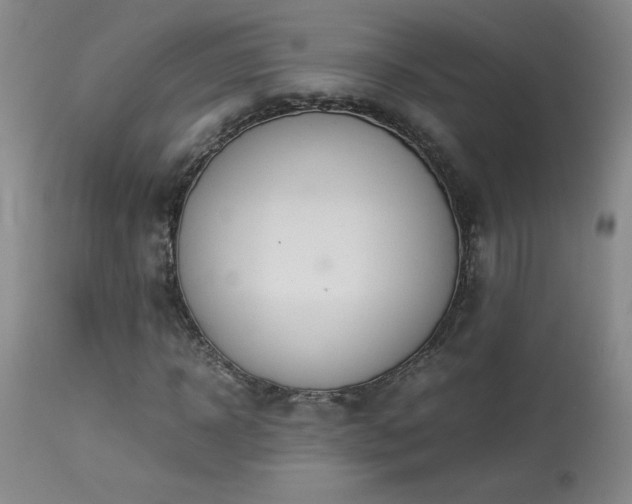 X0000114010918200910021338