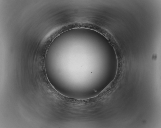 X0000114010919200910021338