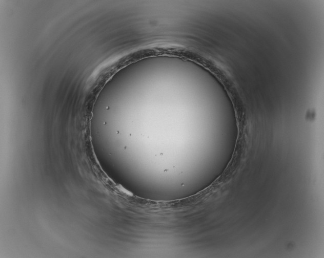 X0000114010920200910021338