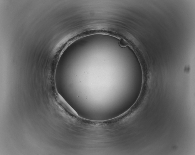 X0000114010922200910021338