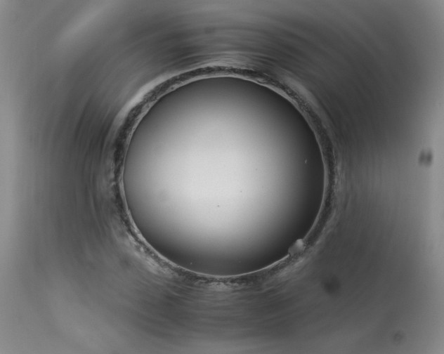 X0000114010923200910021338