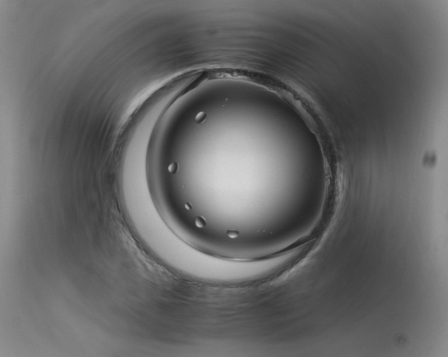 X0000114010925200910021338
