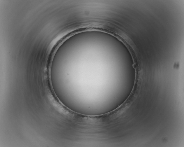 X0000114010928200910021338
