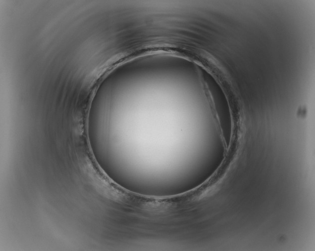 X0000114010929200910021338