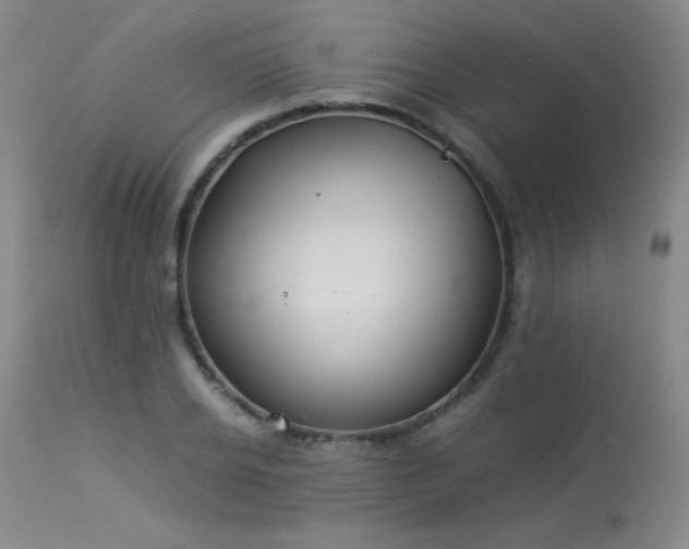X0000114010934200910021338
