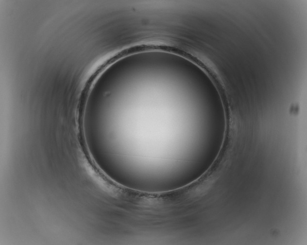 X0000114010935200910021338