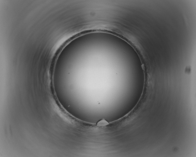 X0000114010936200910021338