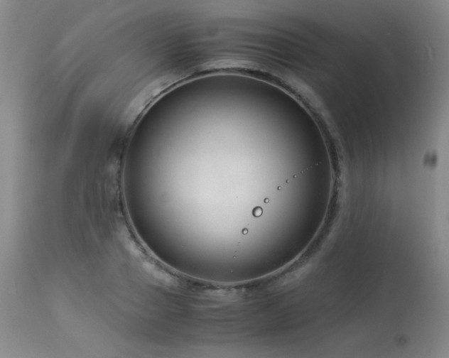 X0000114010937200910021338