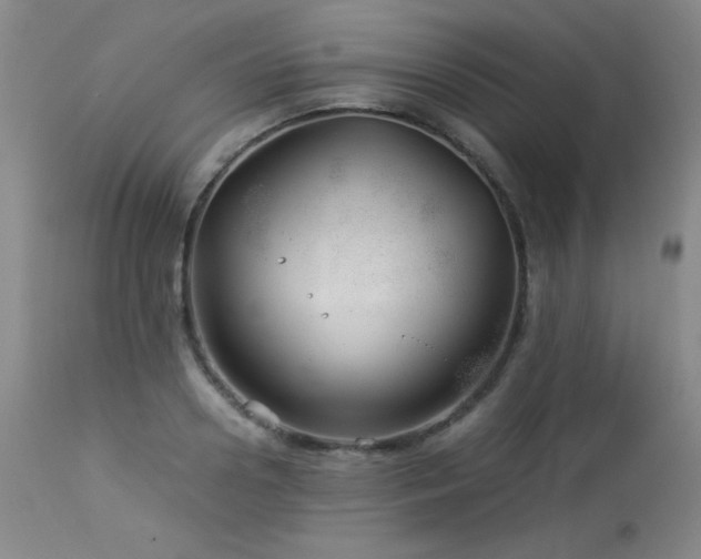 X0000114010938200910021338