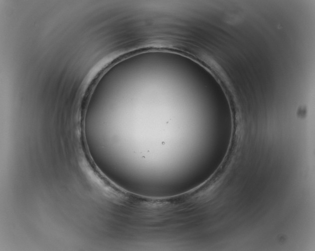 X0000114010939200910021338