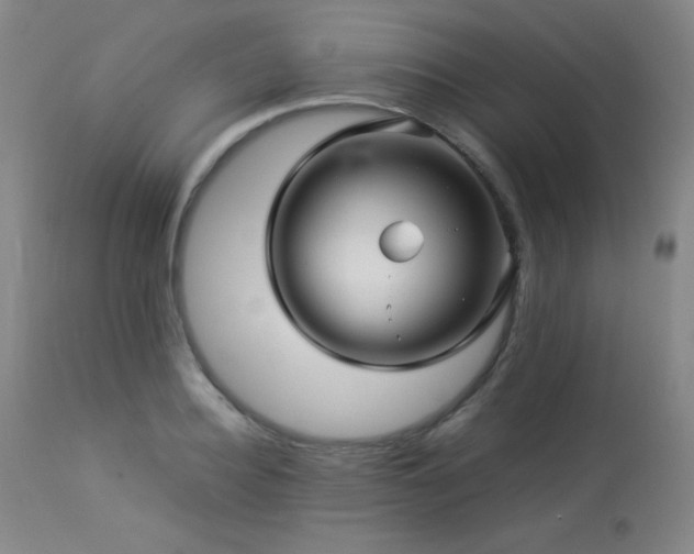 X0000114010940200910021338