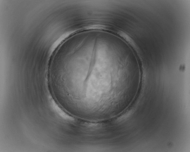 X0000114010941200910021338