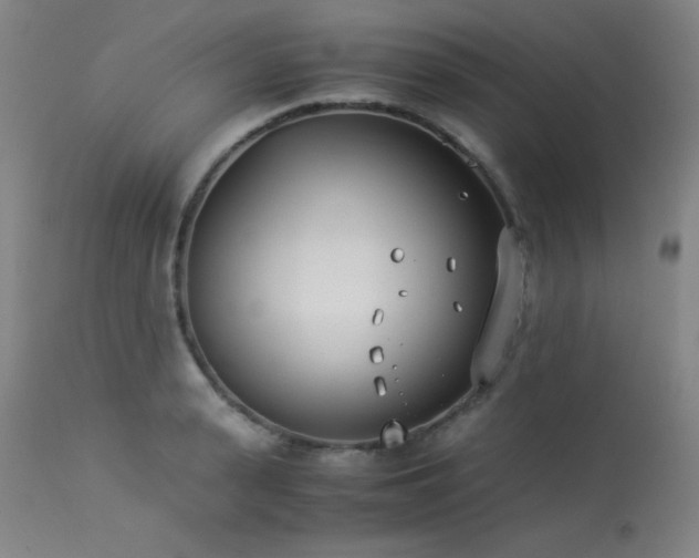 X0000114010943200910021338