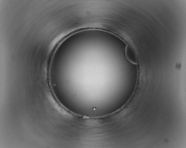 X0000114010944200910021338