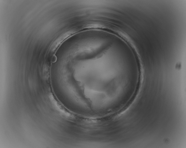 X0000114010945200910021338