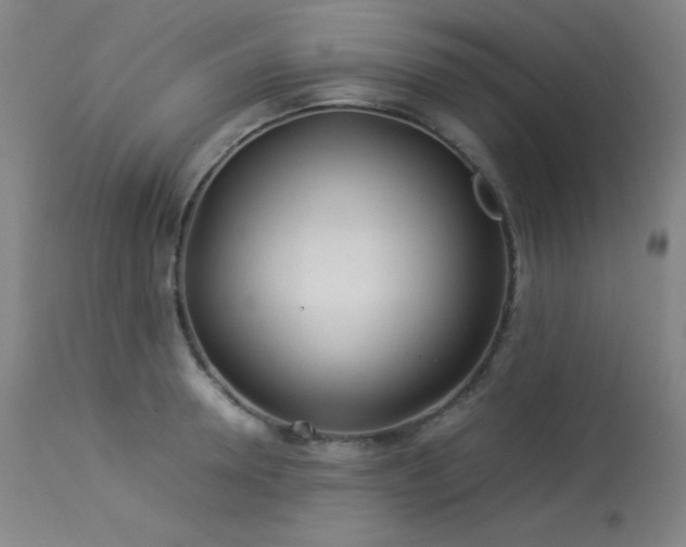 X0000114010946200910021338