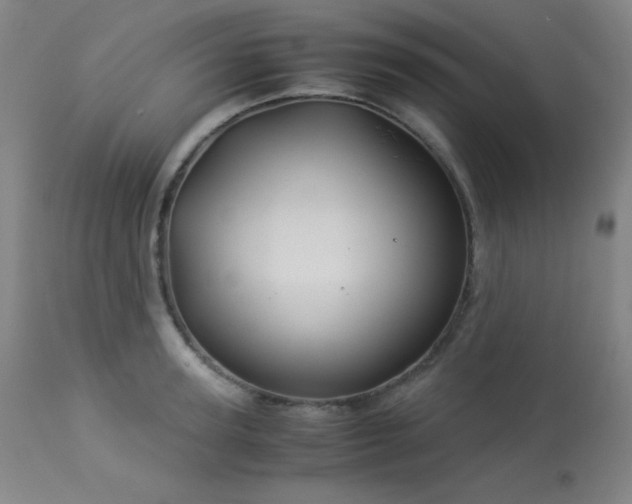 X0000114010947200910021338