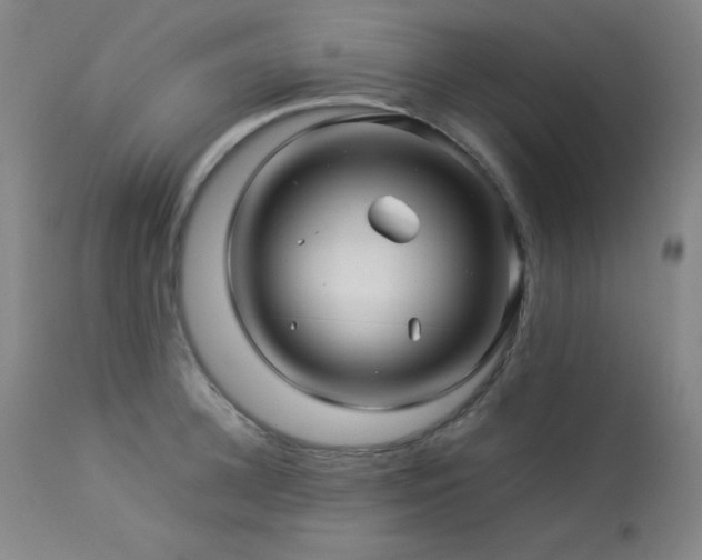 X0000114010948200910021338