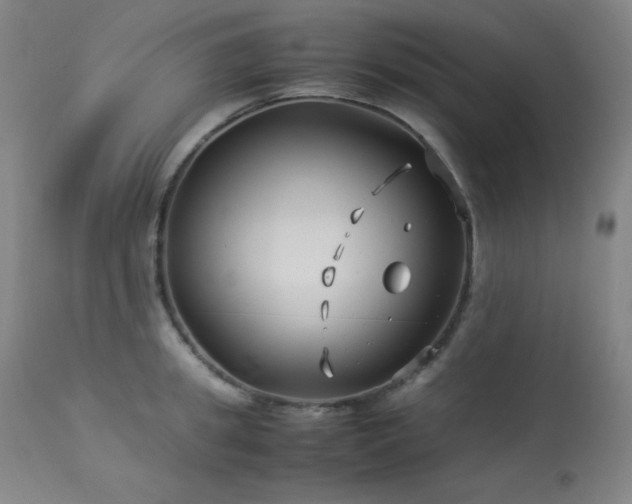 X0000114010949200910021338