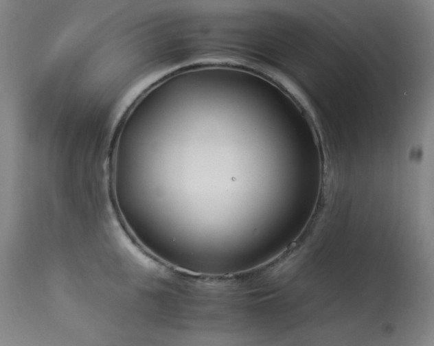 X0000114010951200910021338