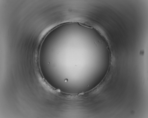 X0000114010952200910021338