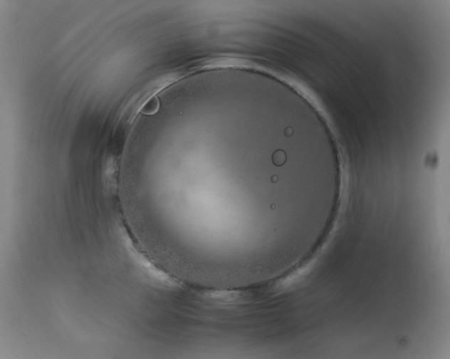 X0000114010953200910021338
