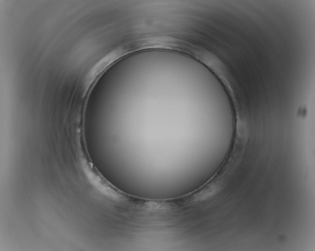 X0000114010954200910021338