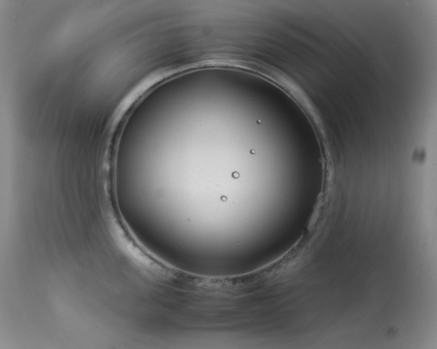 X0000114010955200910021338