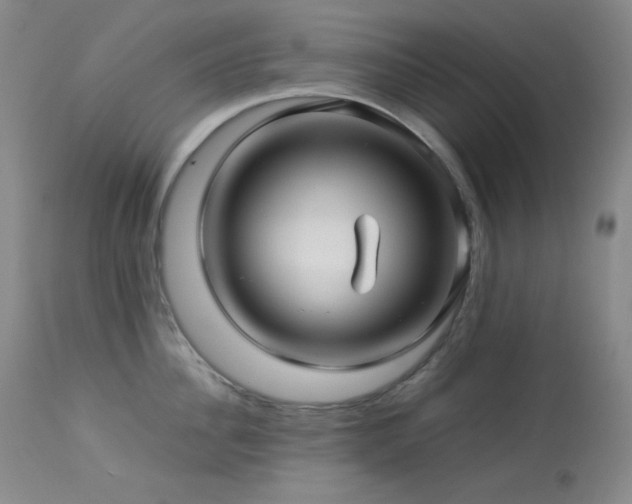 X0000114010956200910021338