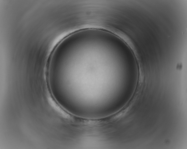 X0000114010958200910021338