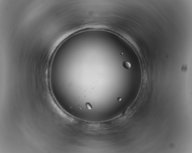X0000114010959200910021338