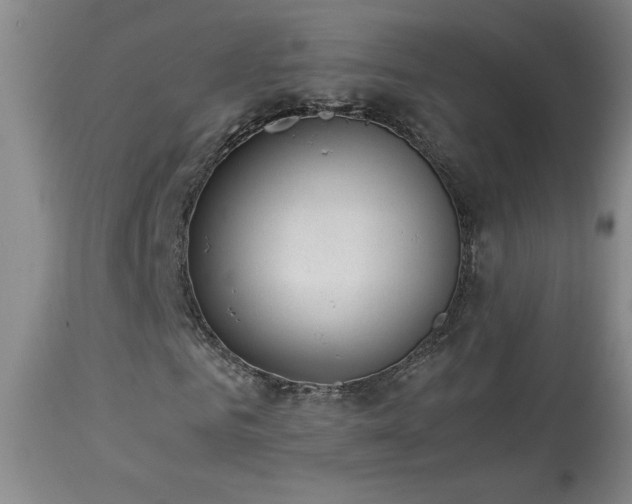 X0000114010961200910021338