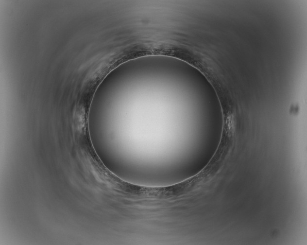 X0000114010963200910021338