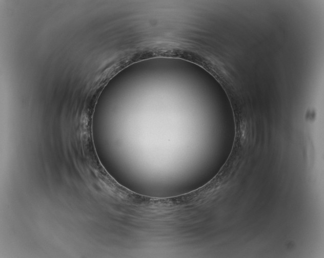 X0000114010964200910021338
