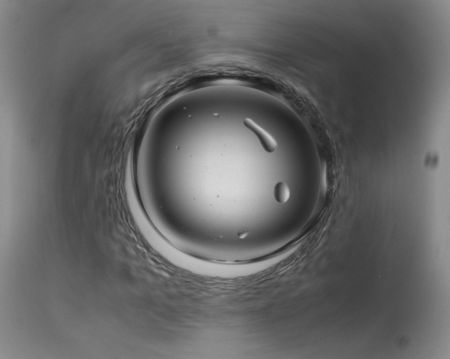 X0000114010965200910021338