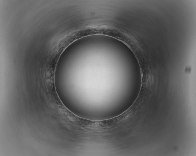 X0000114010966200910021338
