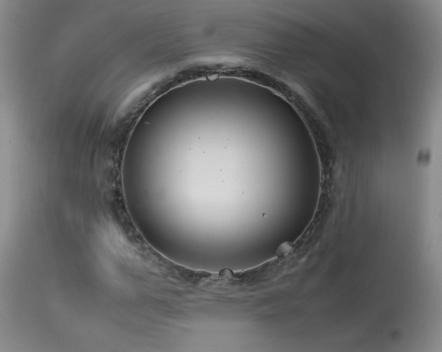 X0000114010967200910021338