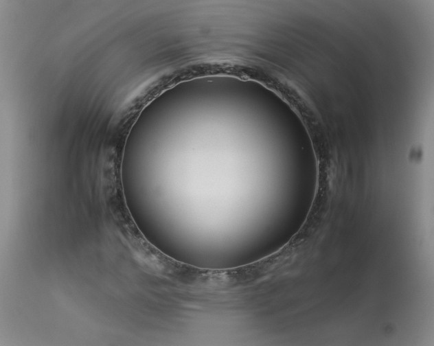 X0000114010968200910021337
