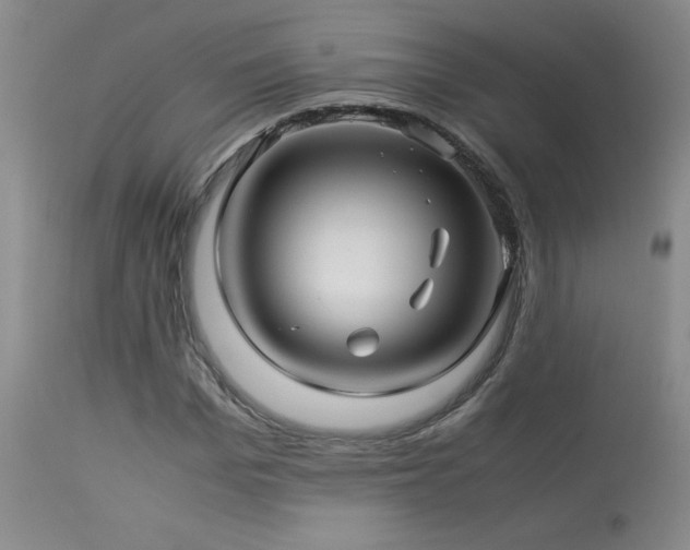 X0000114010969200910021337