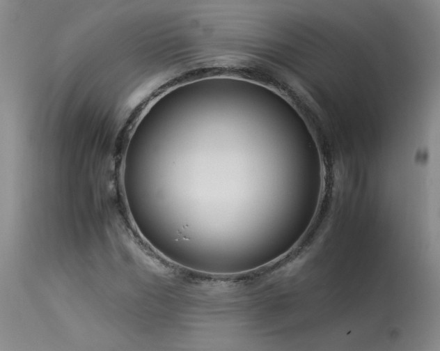 X0000114010970200910021337