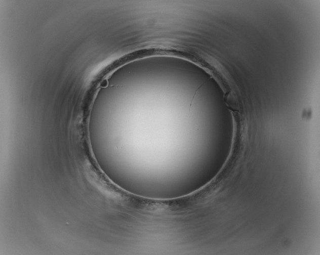 X0000114010971200910021337