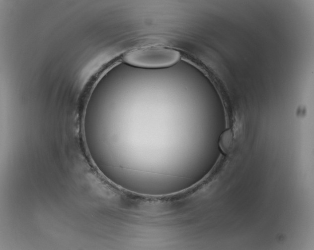 X0000114010973200910021337
